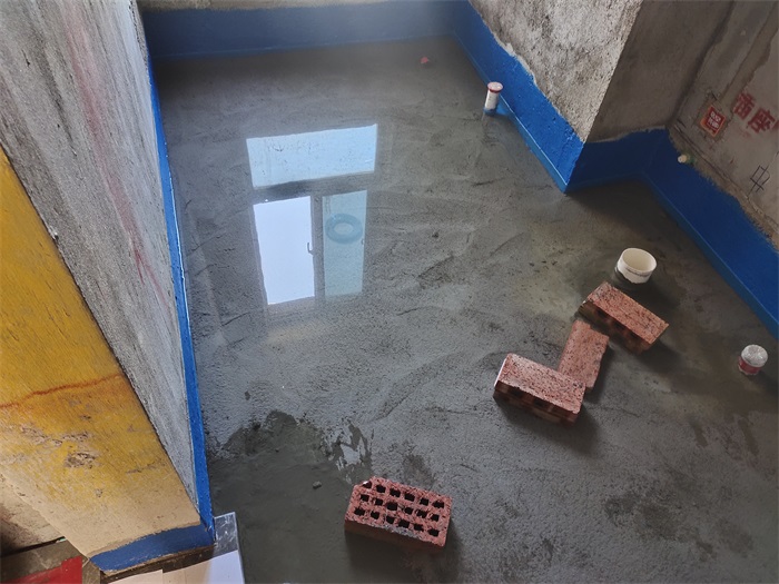 IMG_20221015_141307.jpg