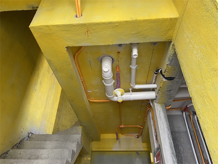 IMG_5029.JPG