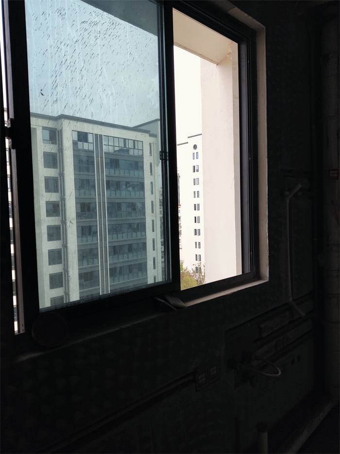 IMG_20221105_082631.jpg