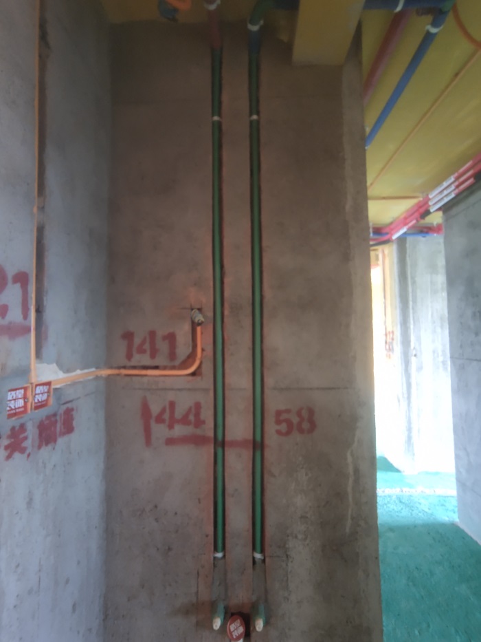 IMG_20221017_134818.jpg