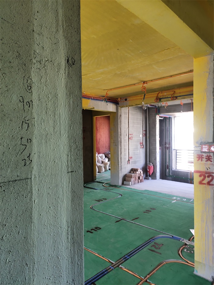 IMG_20221010_123605.jpg