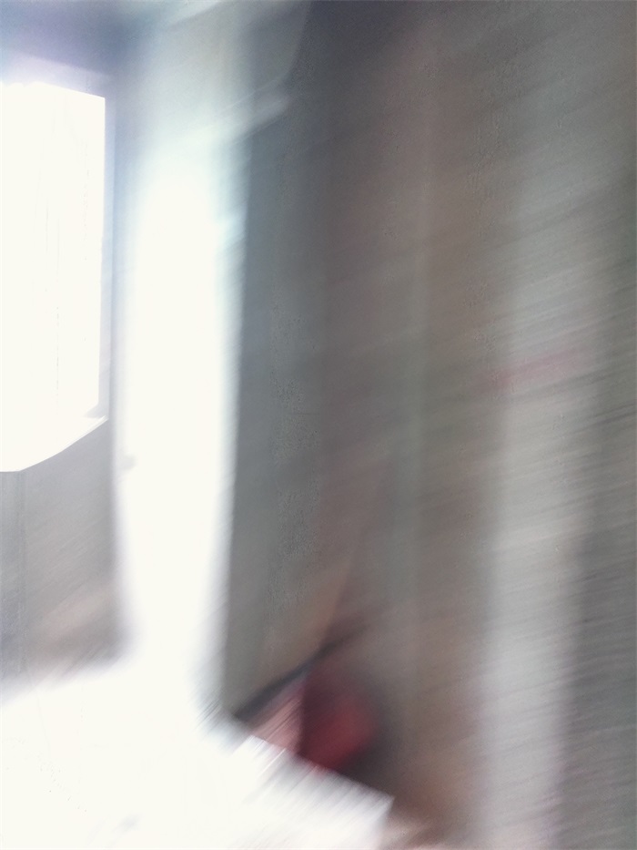 IMG_20221104_083907.jpg