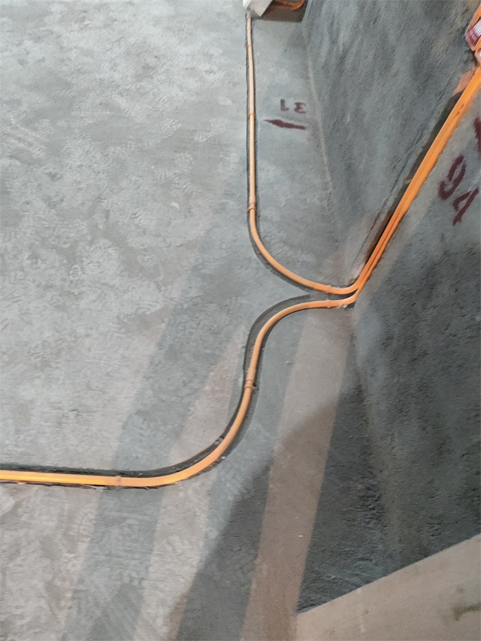 IMG_20221119_152131.jpg