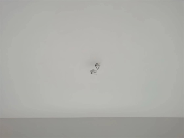 6097270732238182665eb499aac068f.jpg