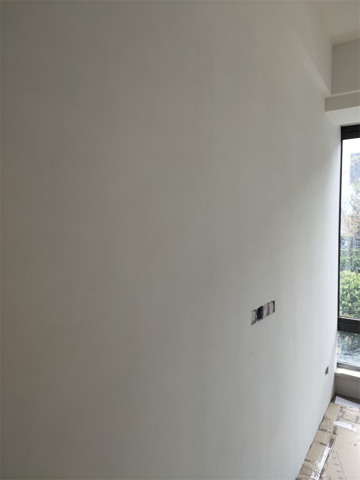 IMG_20221106_110300.jpg