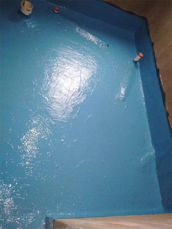mmexport1669452037395.jpg