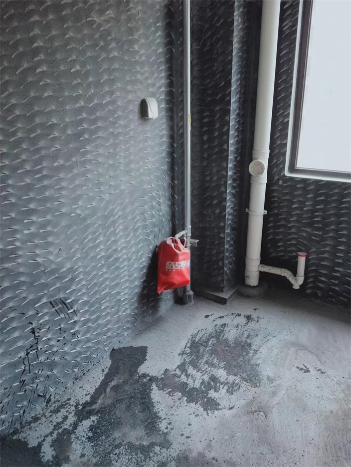 mmexport1669376490625.jpg