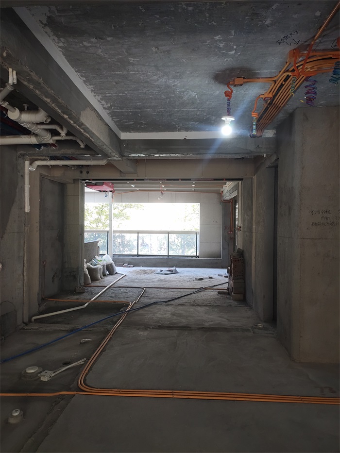 IMG_20221101_133155.jpg