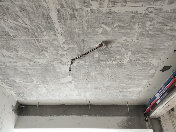 IMG_20221110_130425.jpg