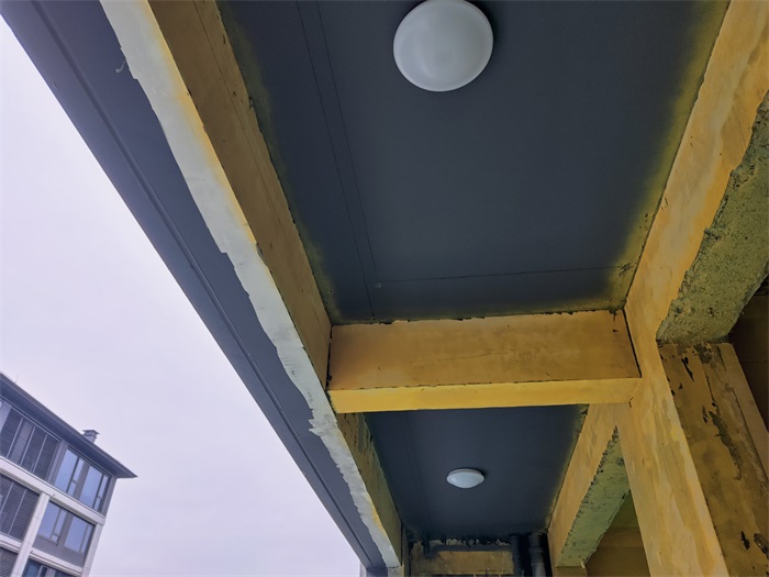 IMG_20221204_141811.jpg