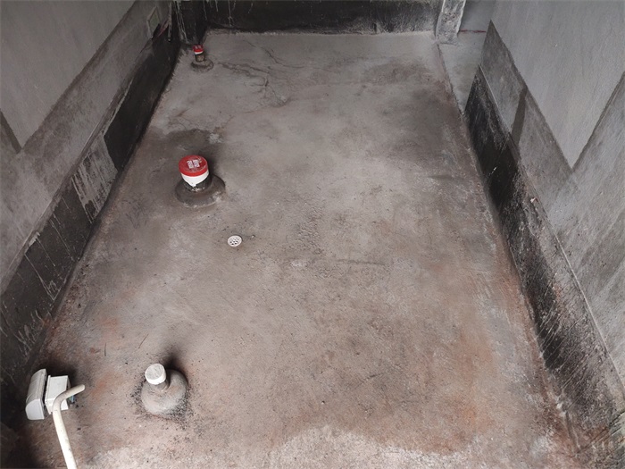 IMG_20221129_081140.jpg