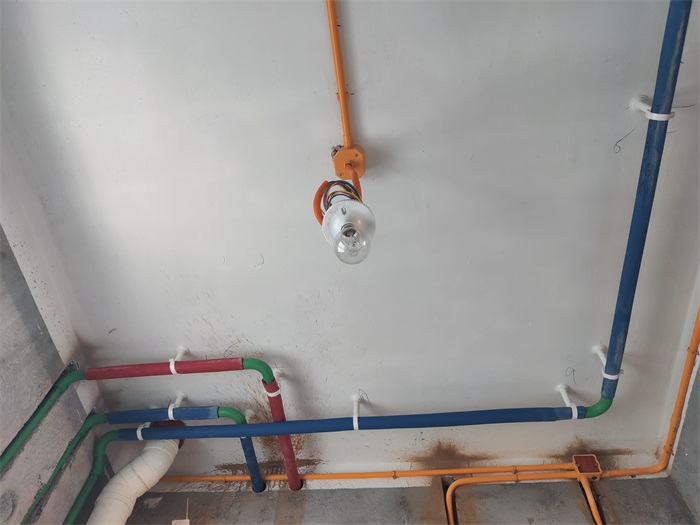 IMG_20221205_141956.jpg