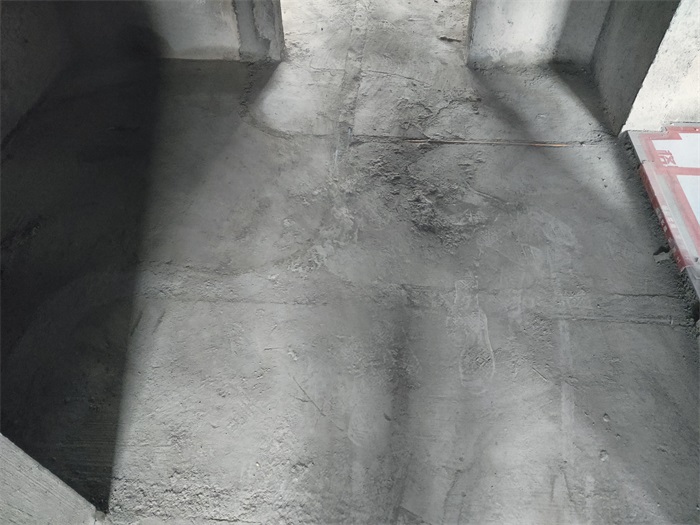 IMG_20221204_092520.jpg