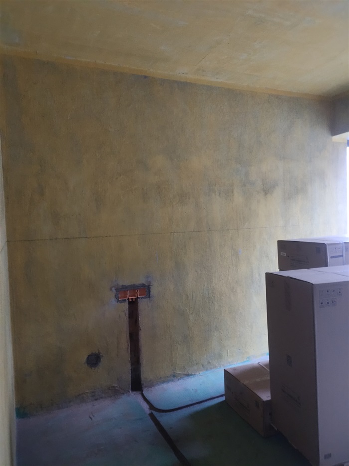 IMG_20221208_085530.jpg