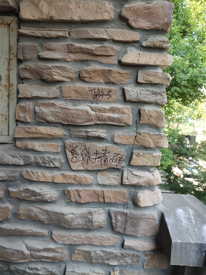 IMG_20220919_100603.jpg