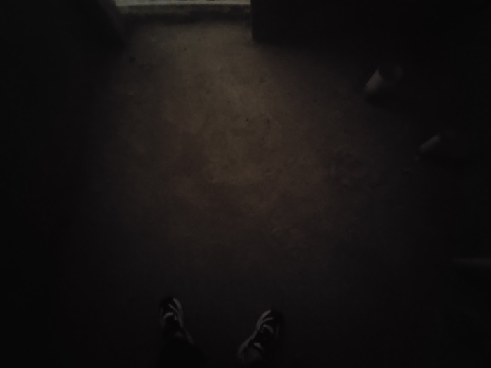 IMG_20221008_110745.jpg