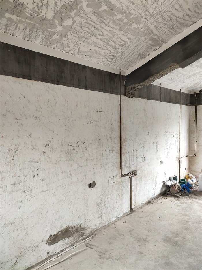 IMG_20221028_120036.jpg