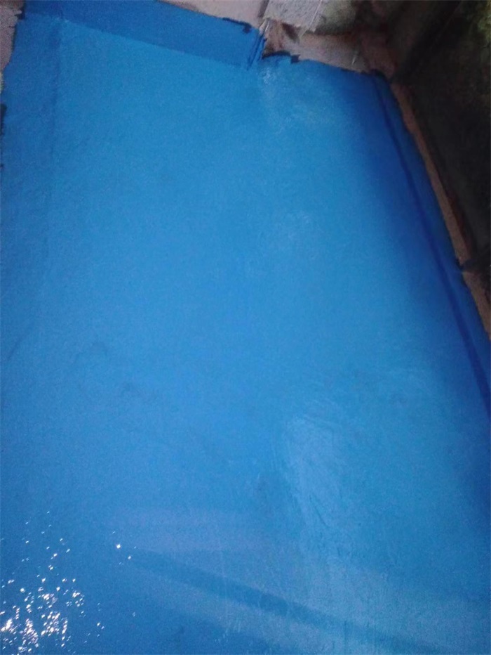 mmexport1670743027309.jpg