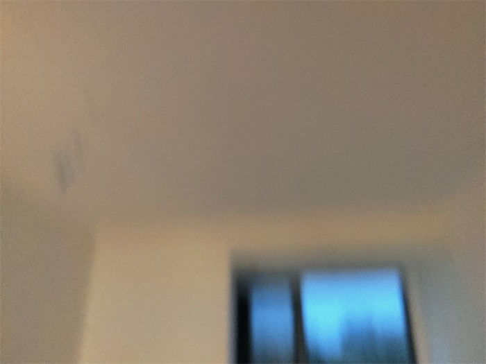 IMG_20221210_171643.jpg