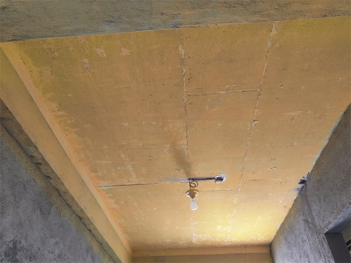IMG_20221214_084302.jpg
