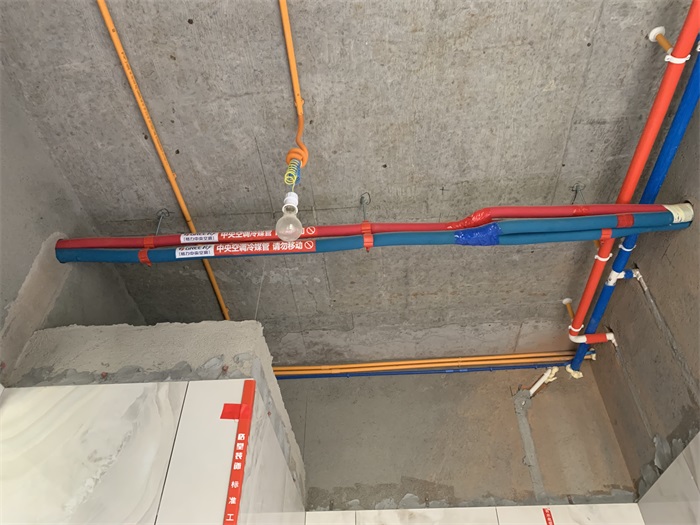 IMG_8478.JPG
