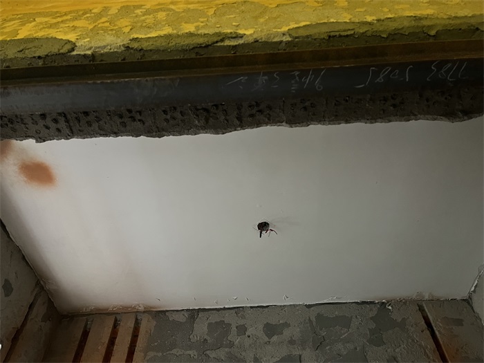 IMG_4853(1) - ����.JPG