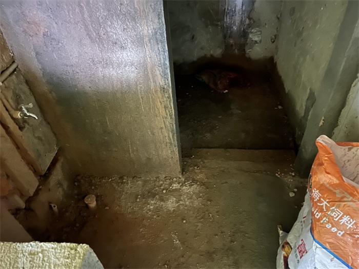 IMG_4859(1).JPG