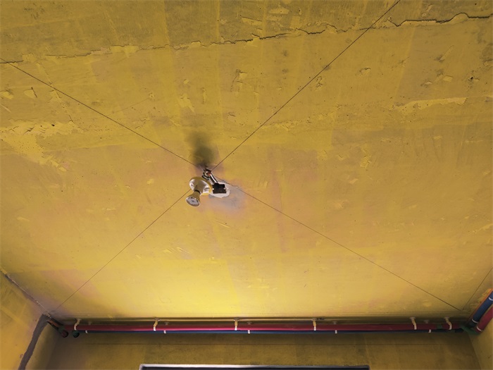 IMG_20221222_135619.jpg