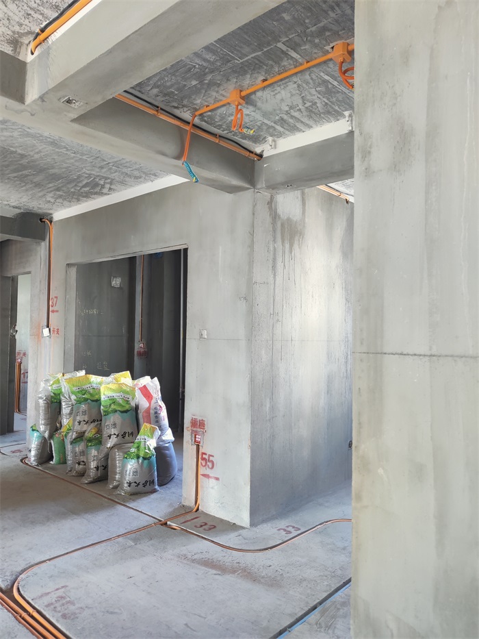 IMG_20221225_114339.jpg