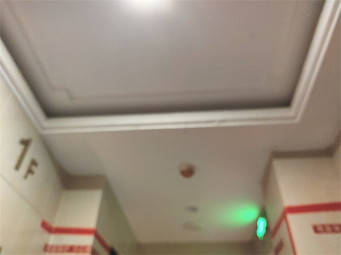 IMG_20221224_100948.jpg