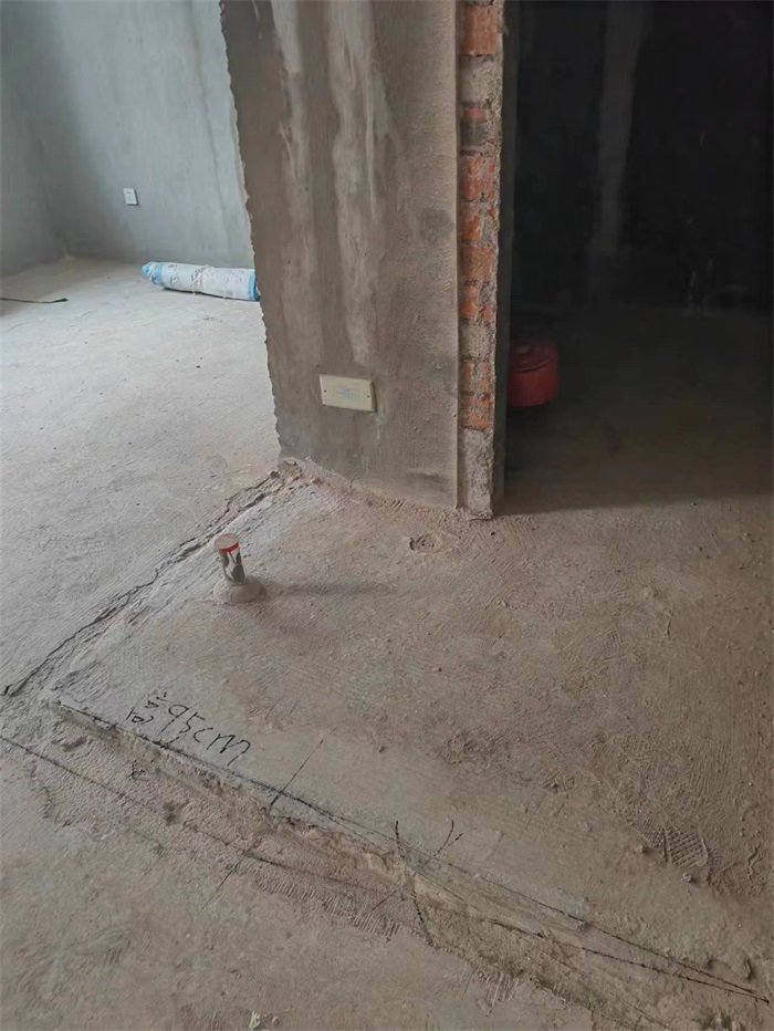 mmexport1672052393579.jpg
