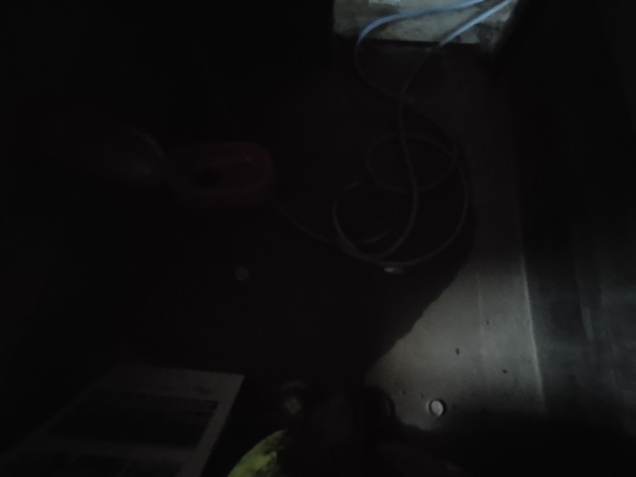 IMG_20221228_080548.jpg