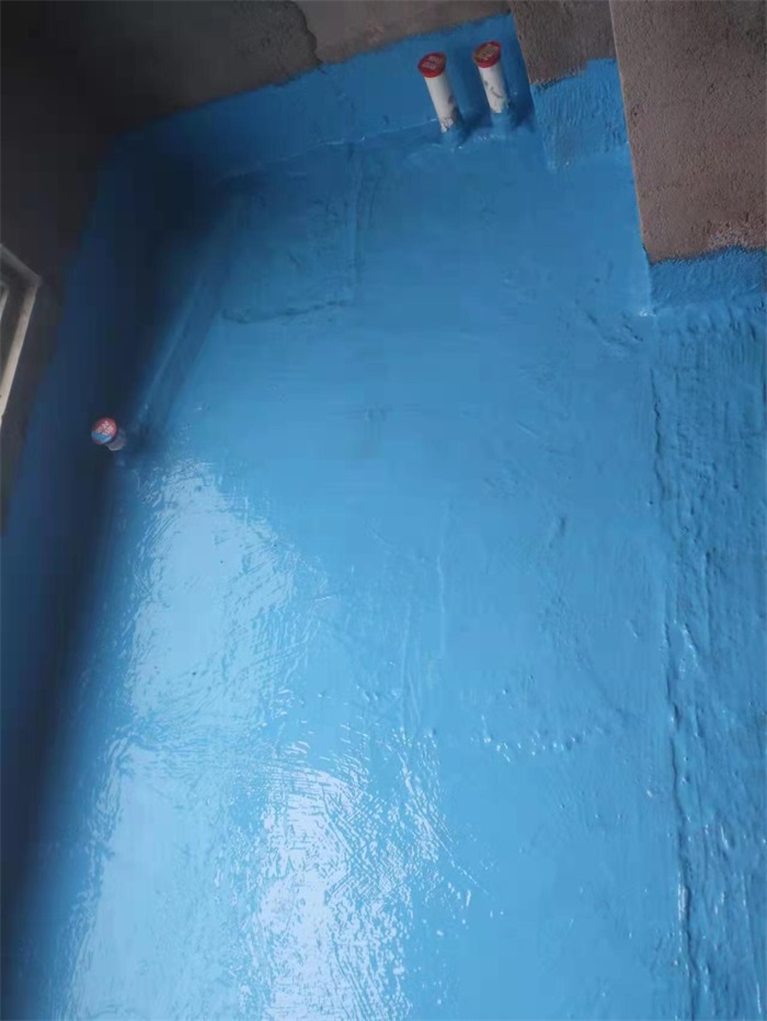 mmexport1669335750846.jpg