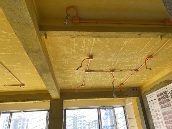 IMG_9507.JPG