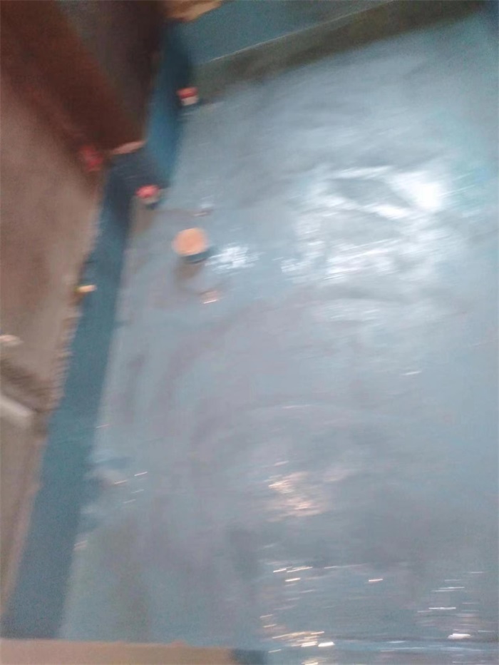 mmexport1670902136985.jpg