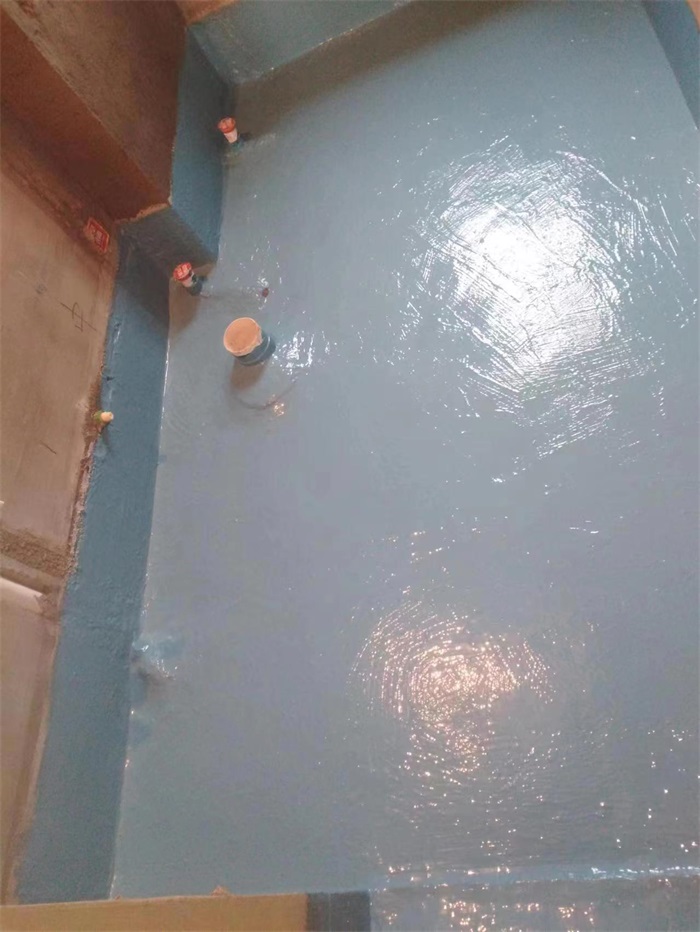 mmexport1670902159198.jpg