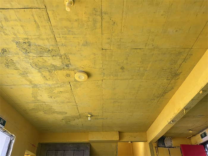 IMG_7907.JPG