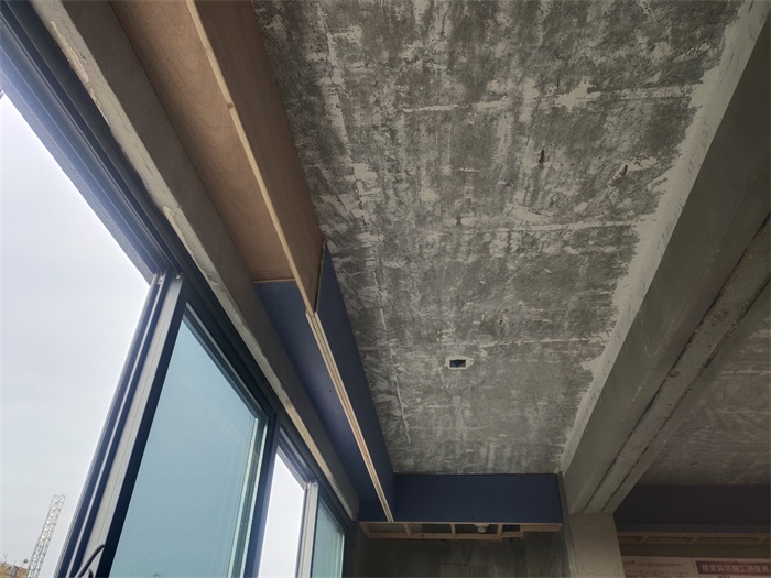 IMG_20221030_082259.jpg