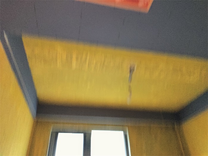 IMG_20230112_164947.jpg