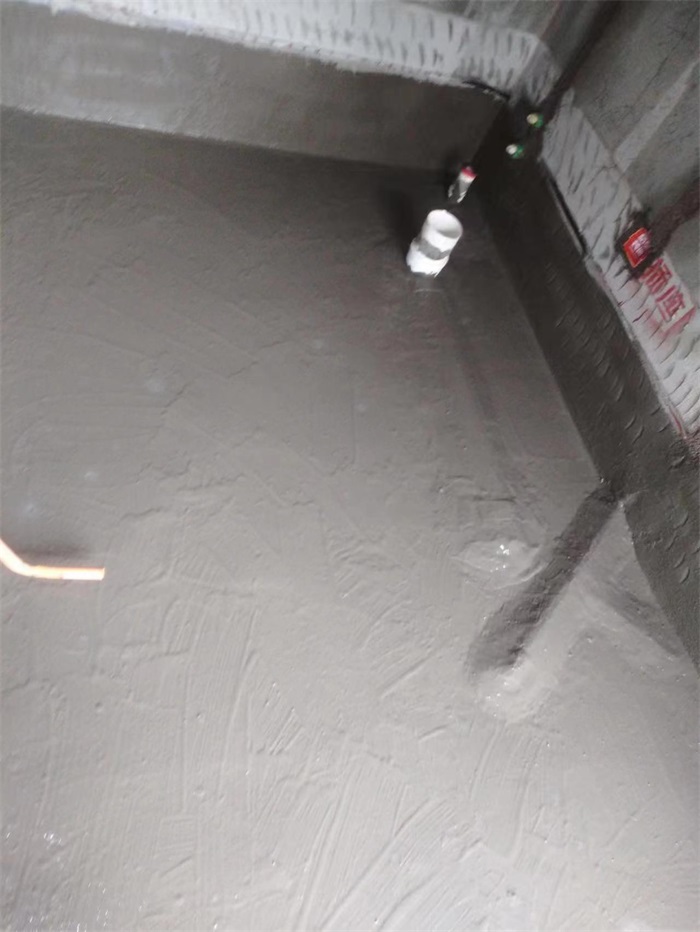 mmexport1672897654049.jpg