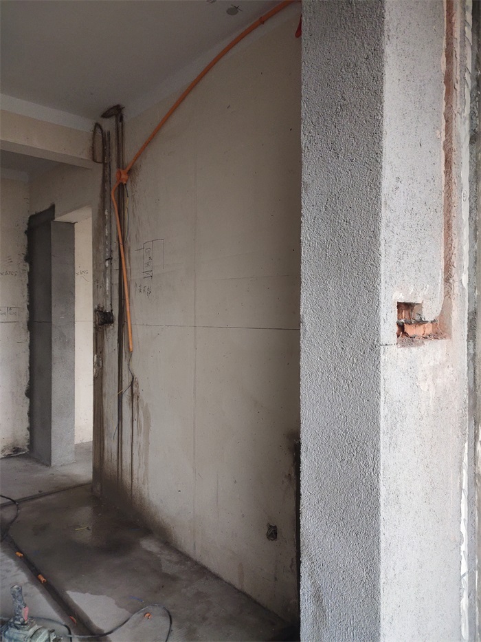 IMG_20221115_155454.jpg