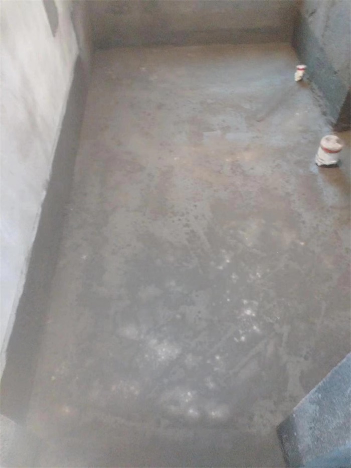 mmexport1670292509500.jpg