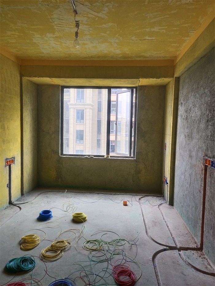 IMG_20221106_151244.jpg