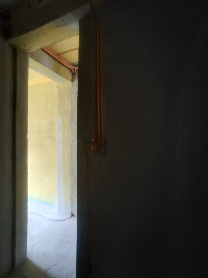 IMG_20221106_151642.jpg