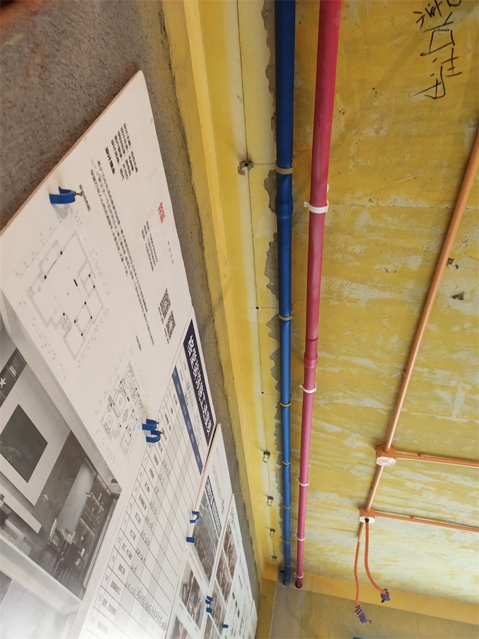 IMG_20221116_132422.jpg