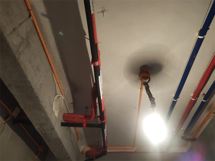 IMG_20221119_074814.jpg