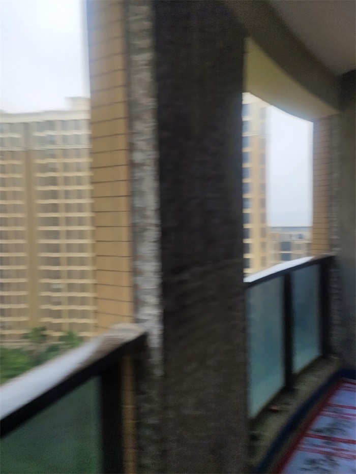 IMG_20221119_074848.jpg