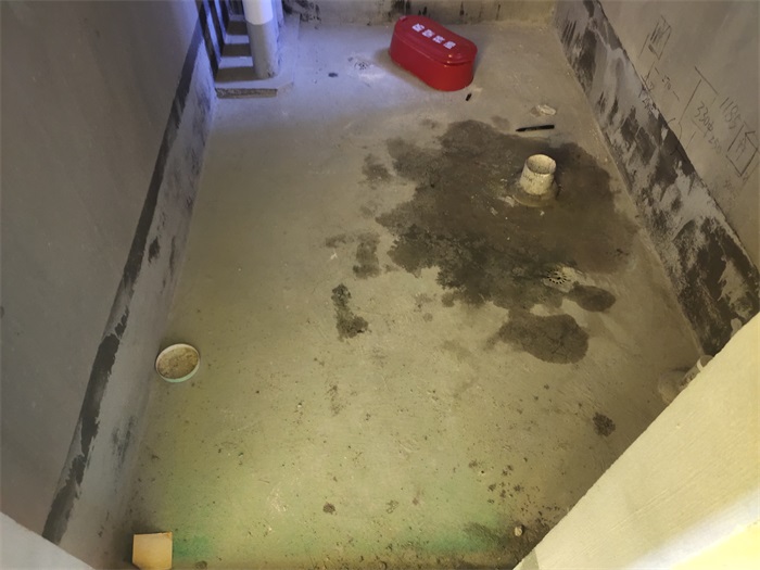 IMG_20221030_095456.jpg