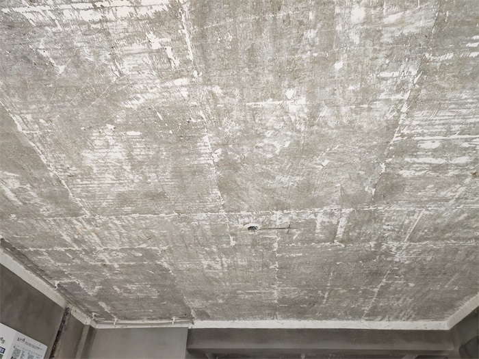 IMG_20221102_111925.jpg