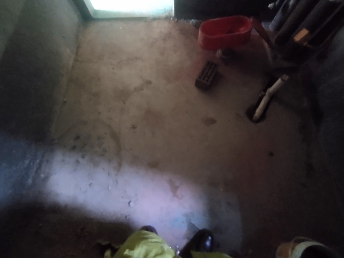 IMG_20230106_082757.jpg
